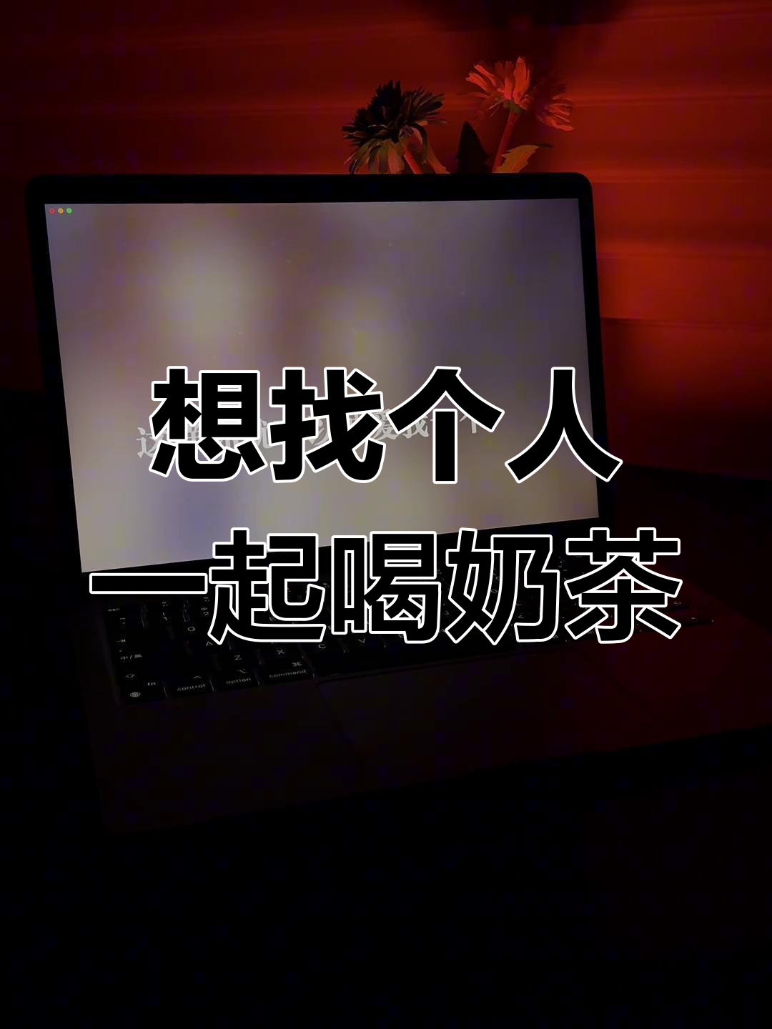 谁愿意陪我喝第二杯半价奶茶?