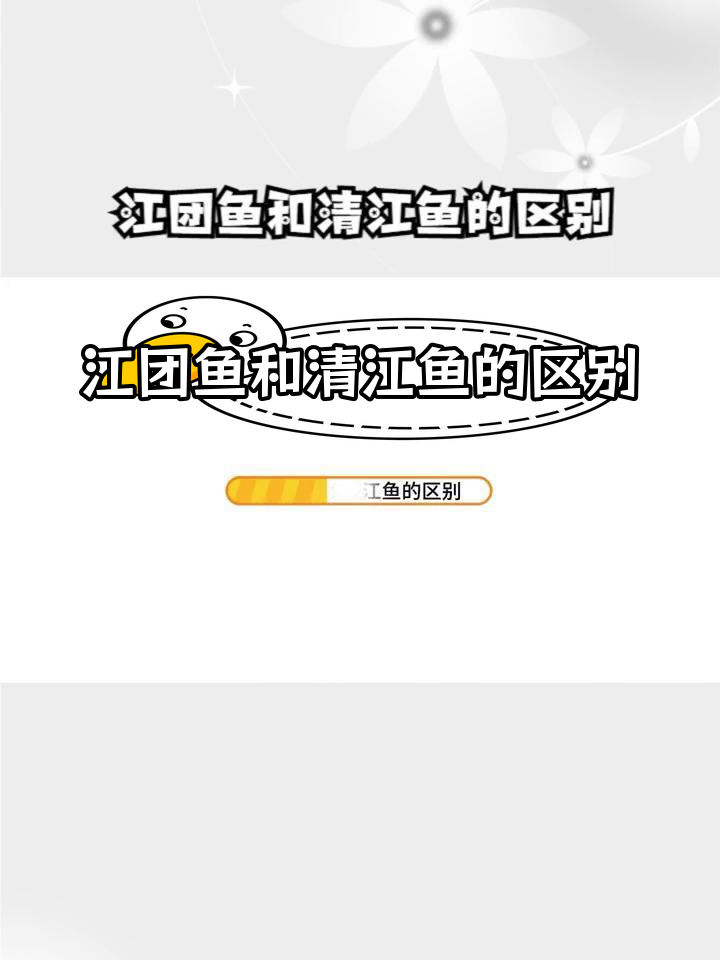 江团鱼与清江鱼的差异解析