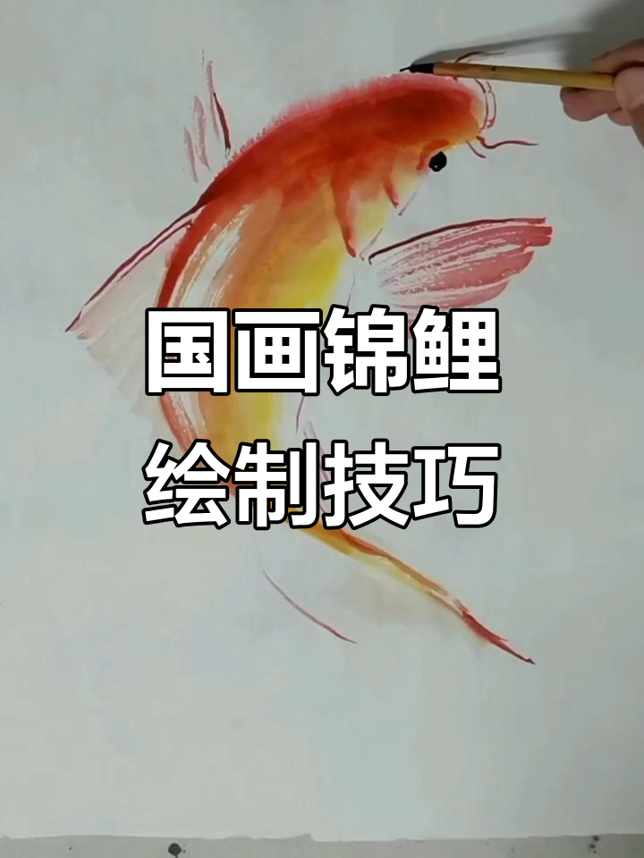 画锦鲤的技巧:灵活生动,细节到位