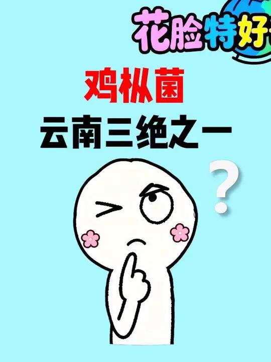 从明代开始就给朝廷进贡的鸡枞菌不是云南三绝之一吗！为什么说它和普通菌类完全是两个东西！#鸡