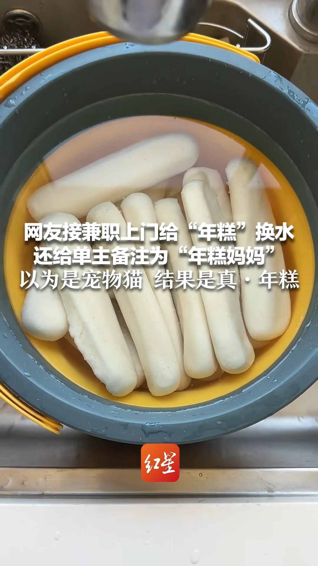 网友接兼职上门给“年糕”换水 还给单主备注为“年糕妈妈”以为是宠物猫 结果是真·年糕 评论