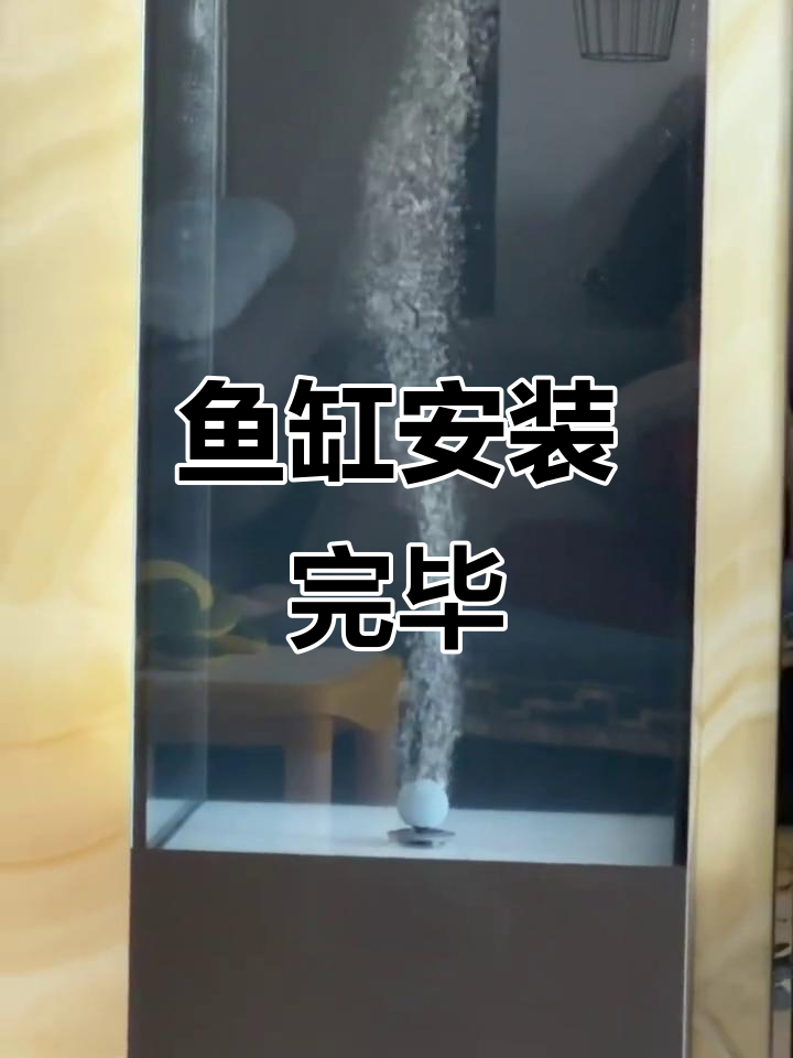 高逸自得鱼缸完美安装,效果惊艳!