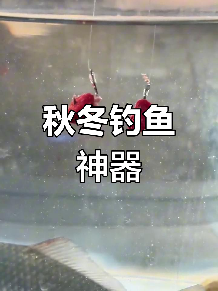 精选蚯蚓颗粒,秋冬诱鱼必备,鲫鲤草鱼无法抗拒