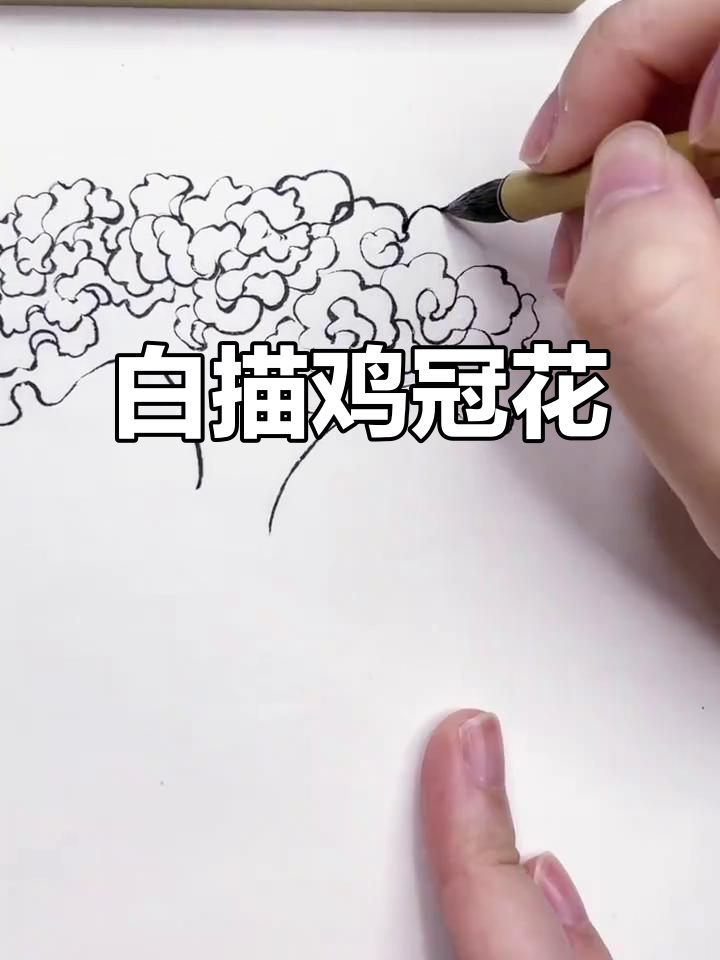 鸡冠花白描国画,细节之美尽显
