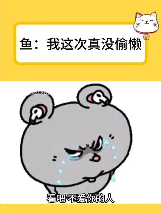 鱼:我这次真没偷懒