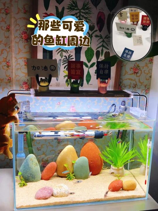 鱼缸造景空气缸,那些可爱的小摆件很搭