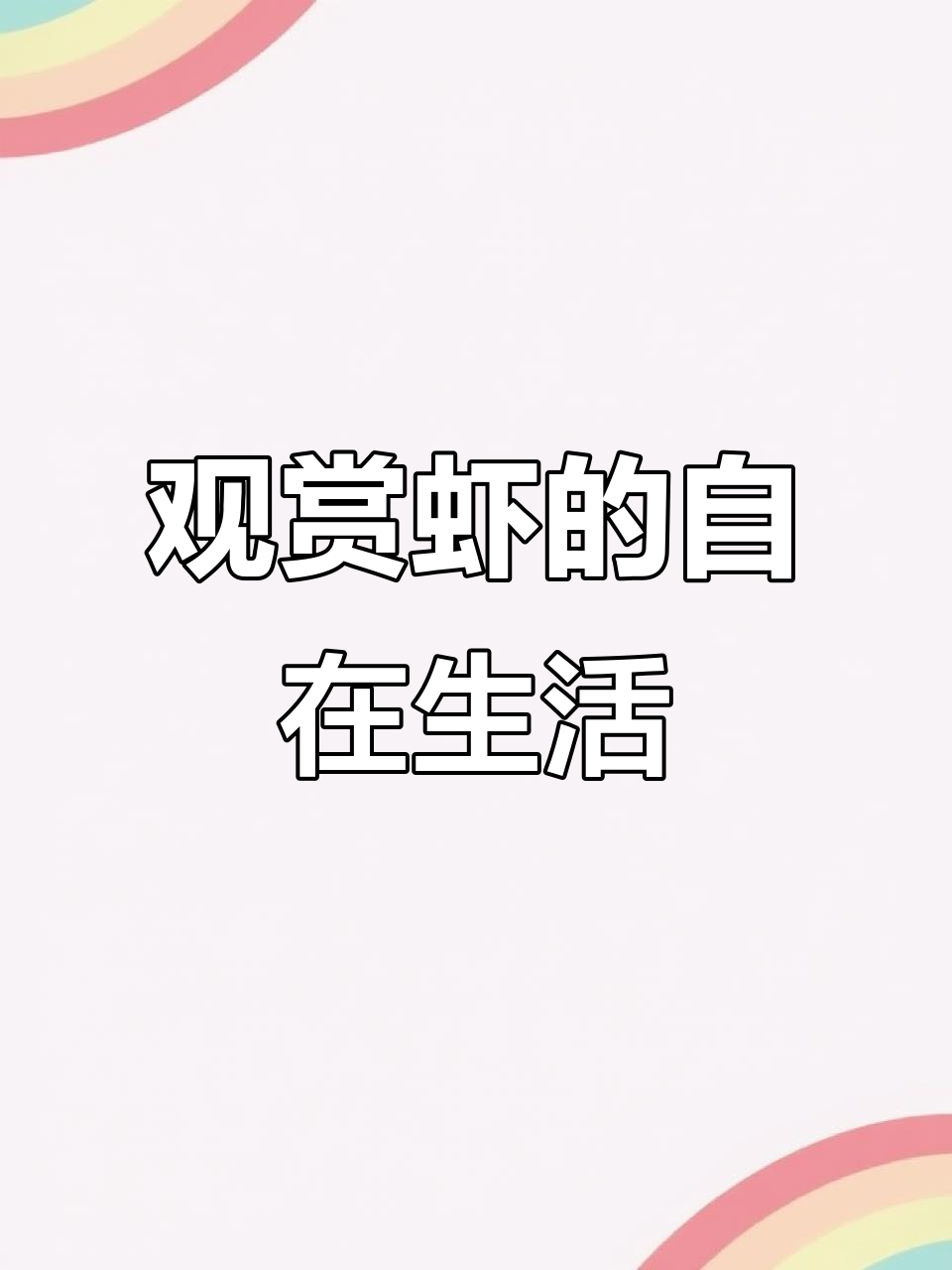 虾的世界,静看它们自由游动