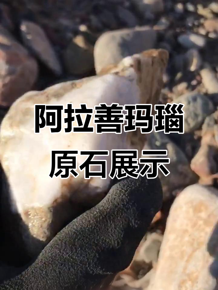 阿拉善玛瑙原石揭秘:白色石英与黑色石头的碰撞