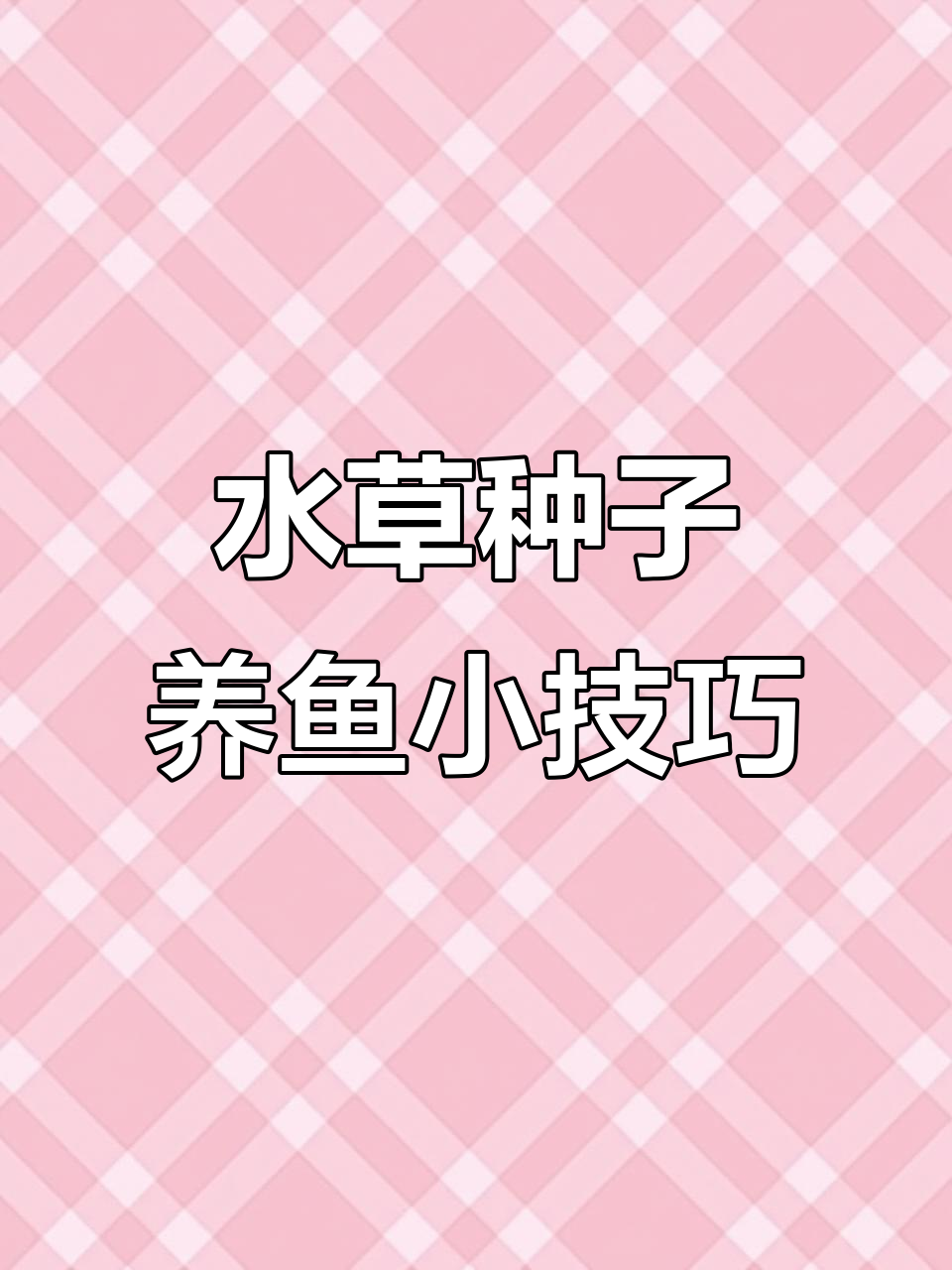 鱼缸里的水草与小鱼,打造自然生态微景观