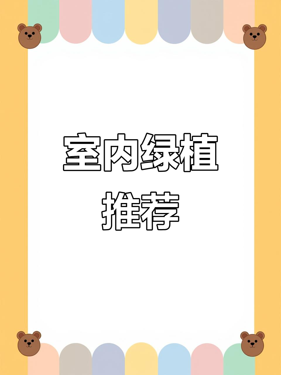 心叶球兰,绿意盎然,适合办公室或家居装饰