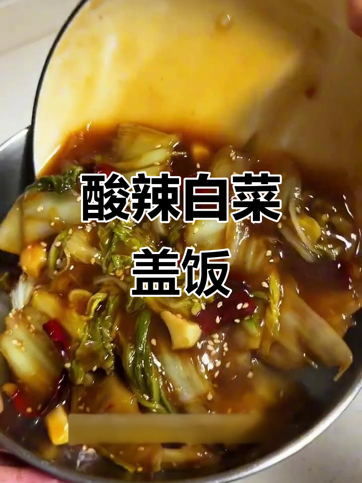 酸辣白菜盖饭，米饭与汤汁完美融合，每一口都让人欲罢不能！