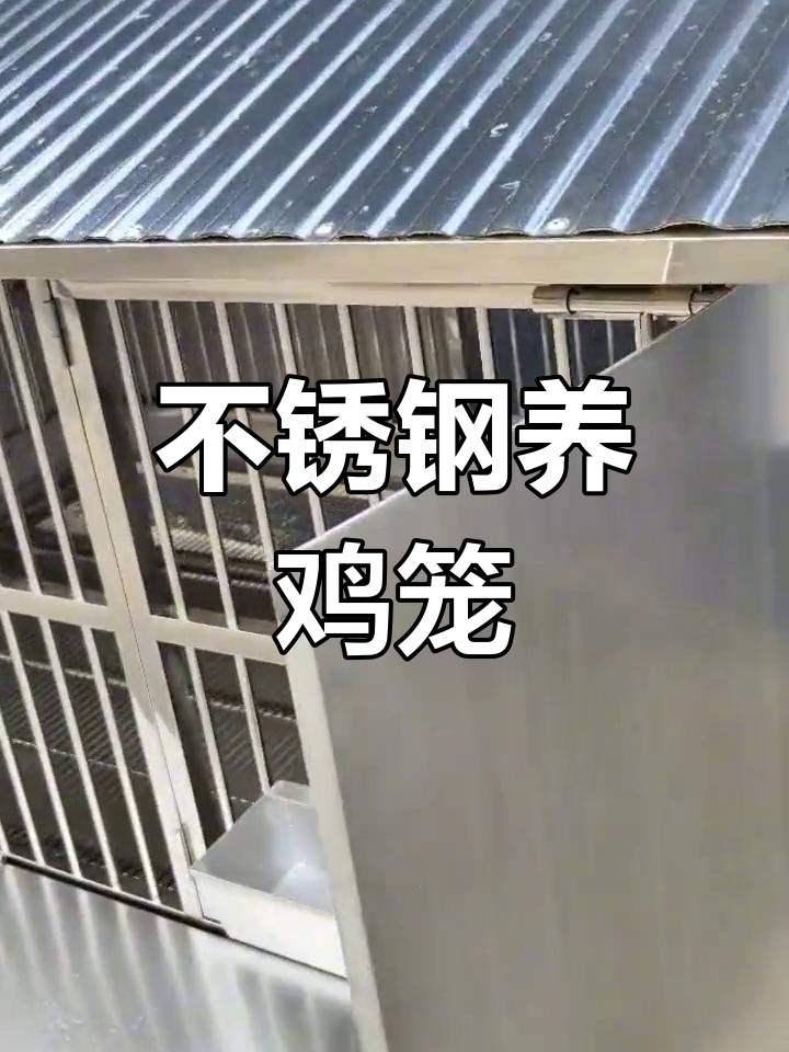 耐用不锈钢鸡笼,防风雨、易清洁,冬季保暖效果显著