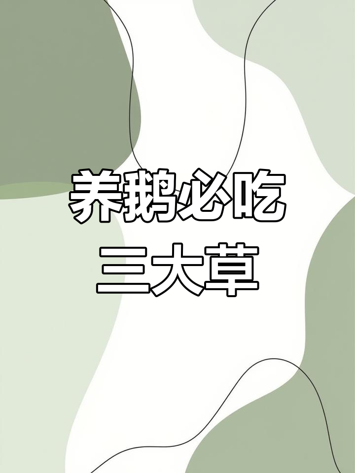 鹅吃什么草长得快?这三种草最合适