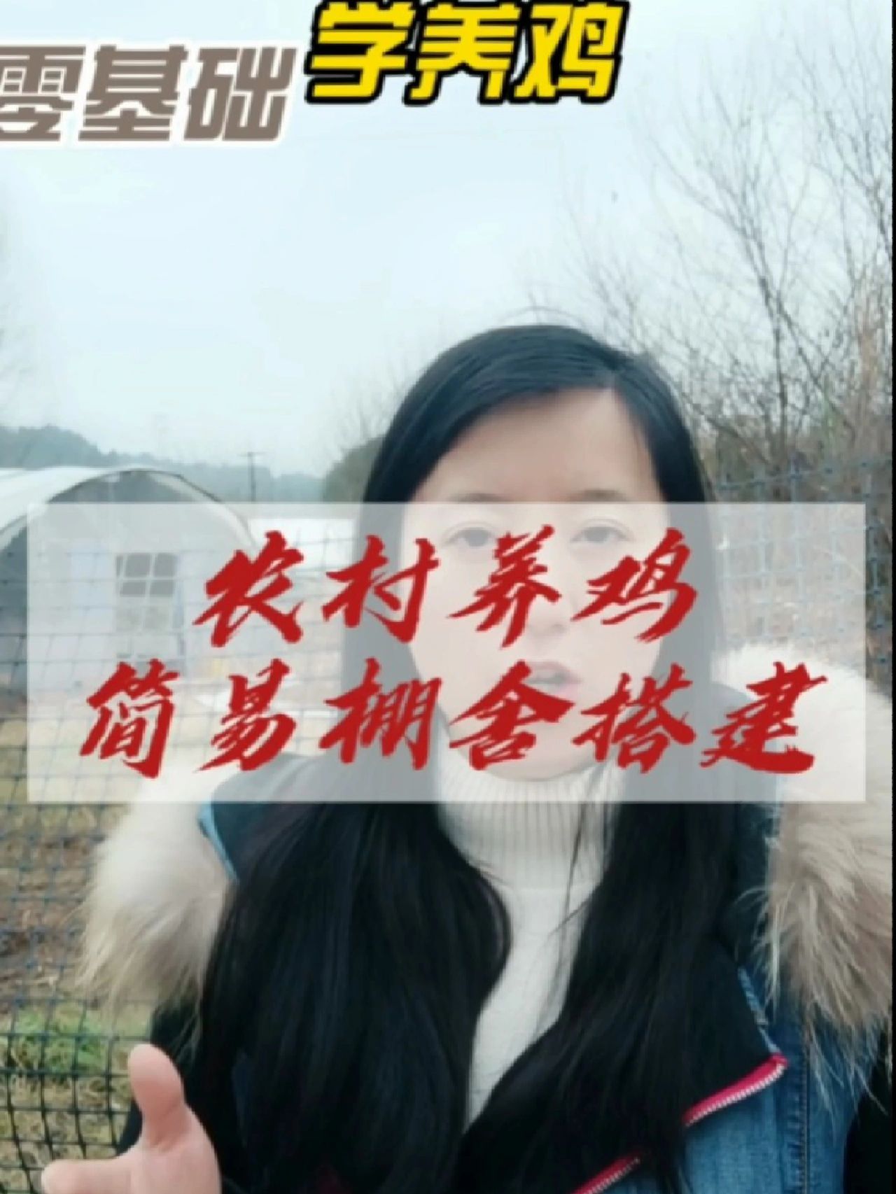 农村散养土鸡简易鸡舍搭建