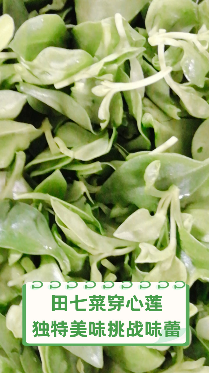 田七菜穿心莲,独特美味挑战味蕾