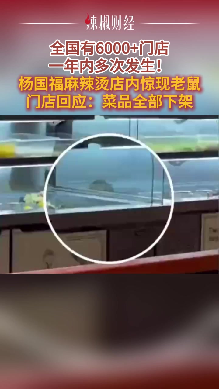 全国有6000+门店,一年内多次发生!杨国福麻辣烫店内惊现老鼠,门店回应