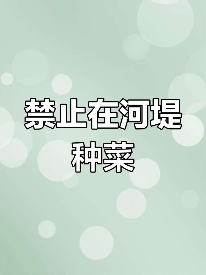 河堤种菜违法,强制清除