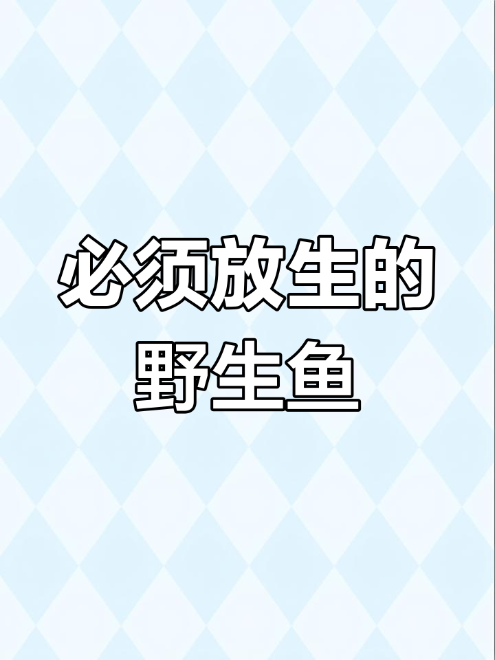 钓鱼时必放生的7种珍稀鱼类