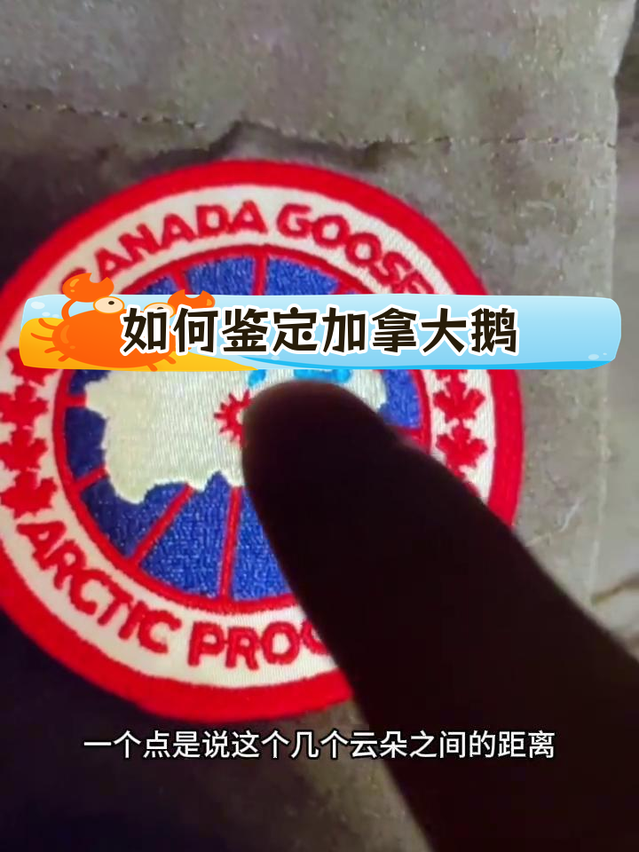 加拿大鹅羽绒服真假鉴别技巧