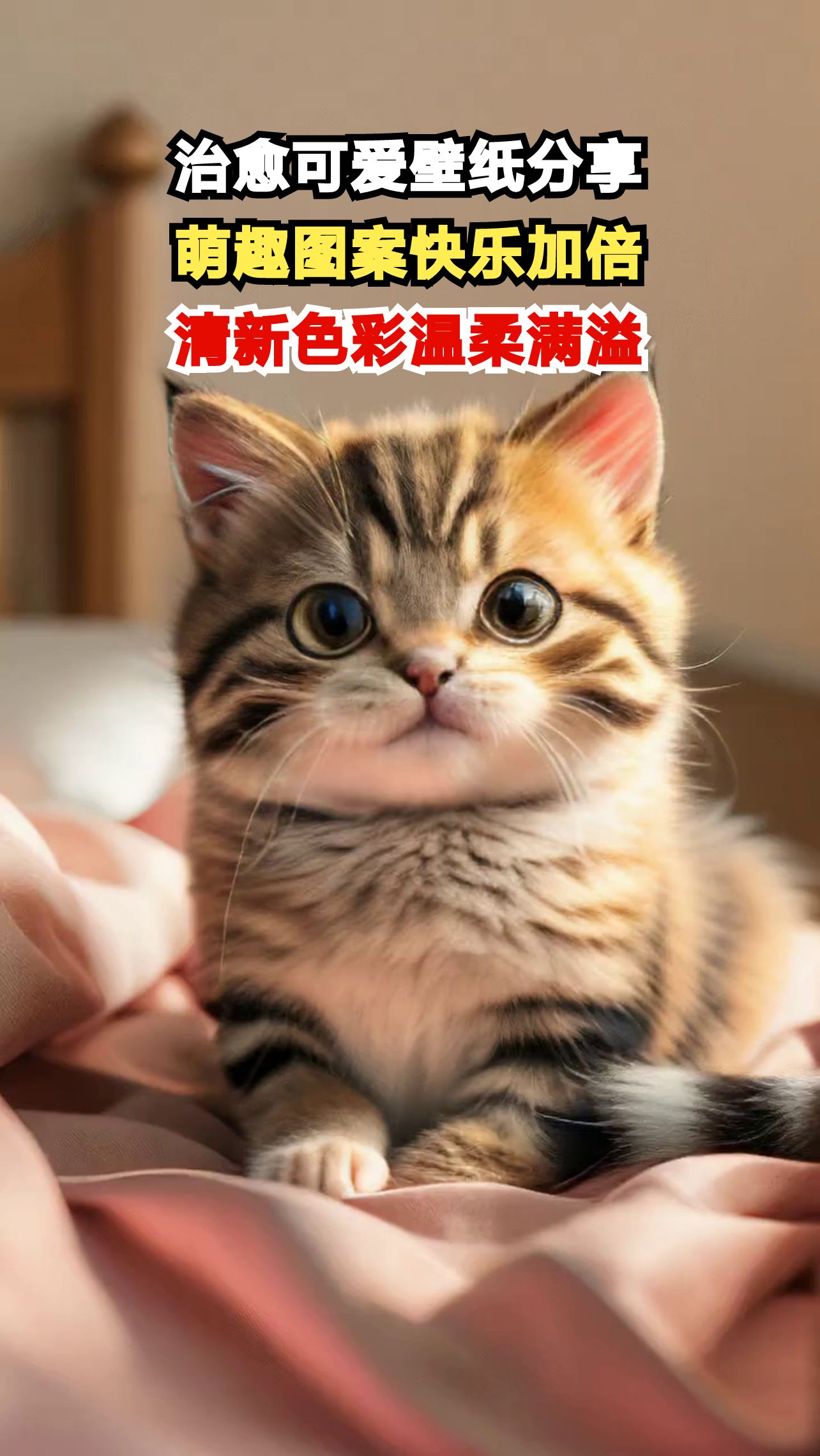 这些萌力爆表的壁纸，看一眼就被治愈了！
