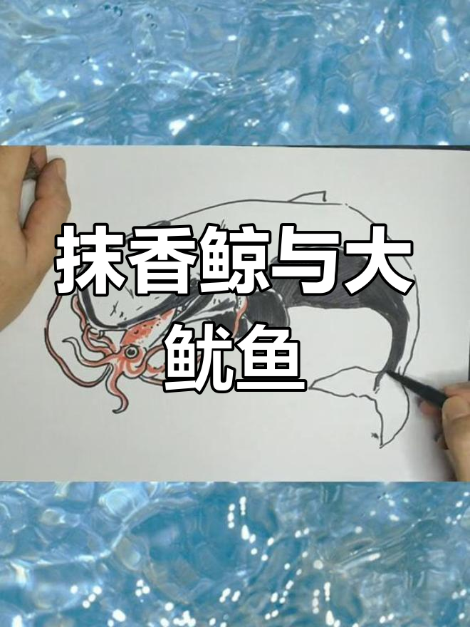 抹香鲸捕食大王鱿鱼简笔画