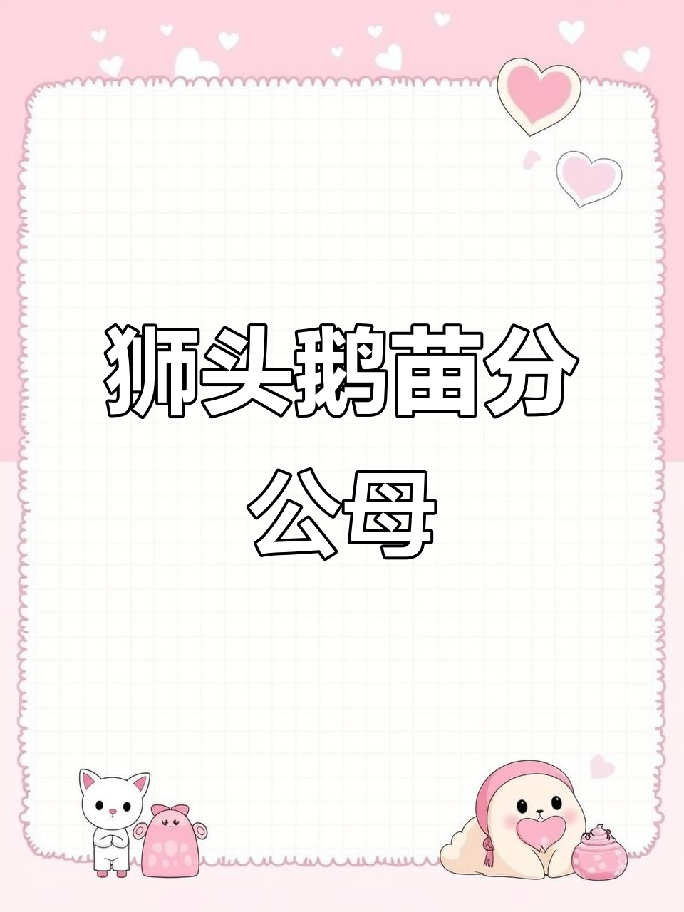 狮头鹅场分布与公母辨别技巧