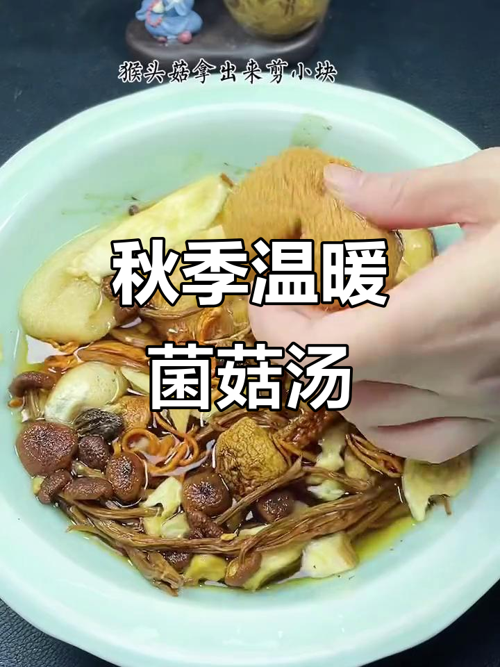 秋雨寒凉,给家人熬一碗暖心菌菇汤,猴头菇让胃更舒适