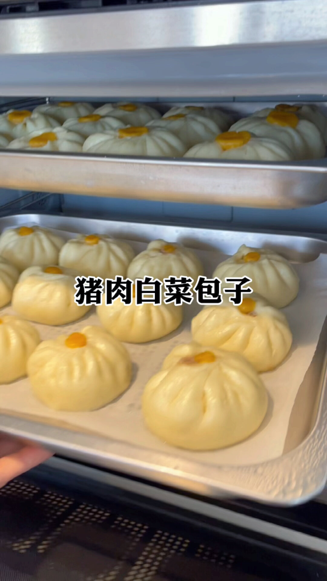 家常面食—猪肉白菜包子