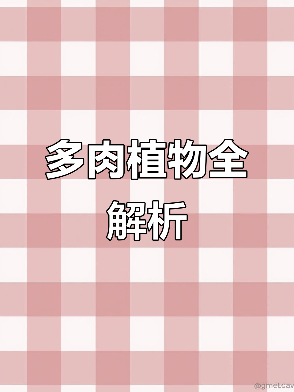 绿植多肉大揭秘:从文雅到黑军团的全方位介绍