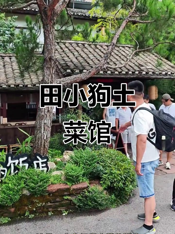 长沙土菜大揭秘,田小狗饭店的招牌美味