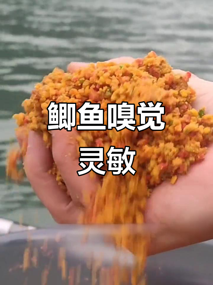 鲫鱼能闻到酒米味道,选对味型发窝快
