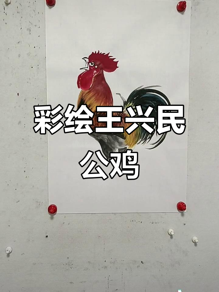 王兴民国画公鸡，彩色大公鸡栩栩如生
