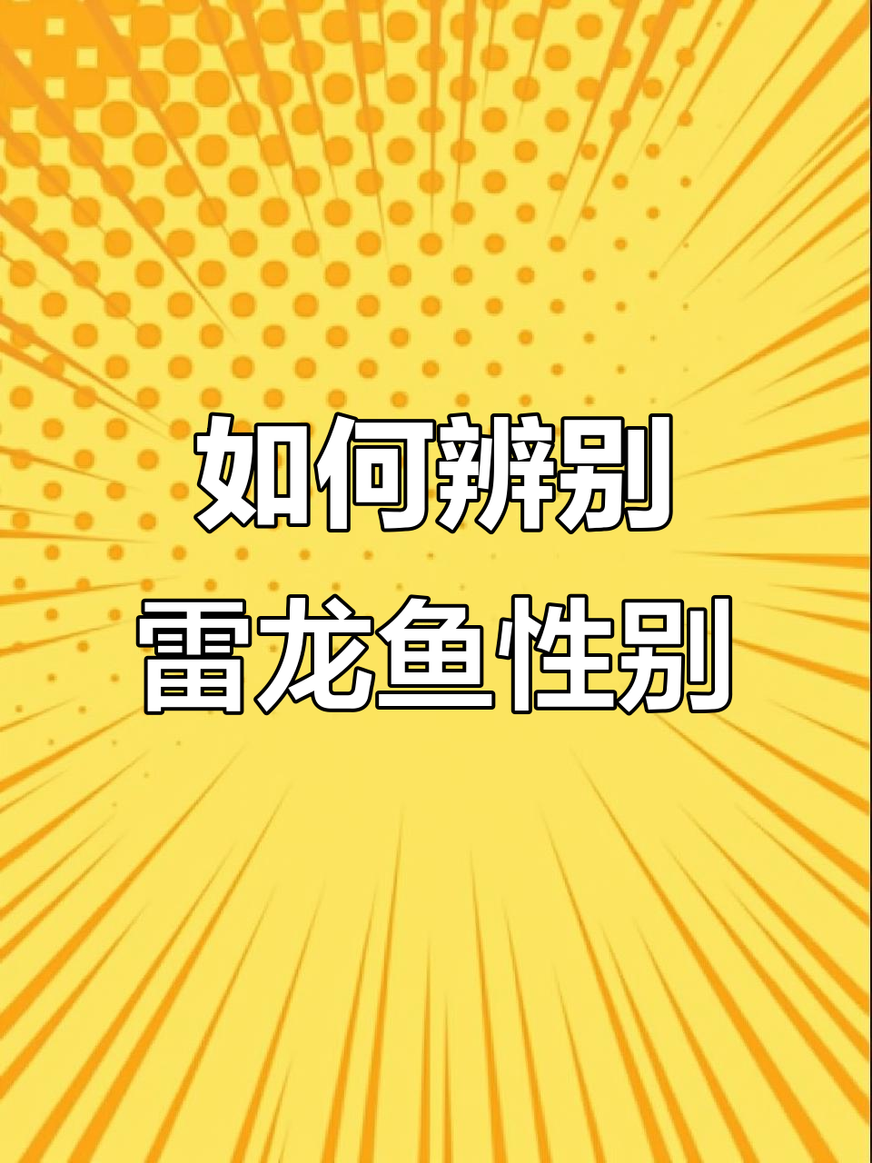 分辨雷龙鱼公母全攻略,轻松掌握!