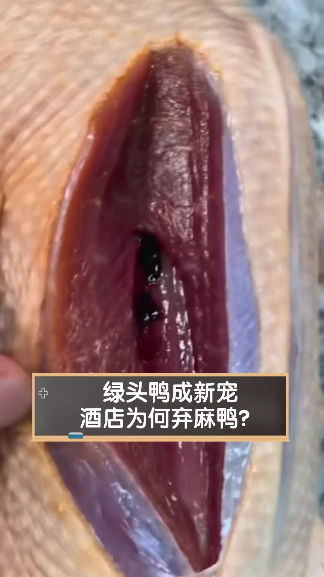 绿头鸭成新宠,酒店为何弃麻鸭?