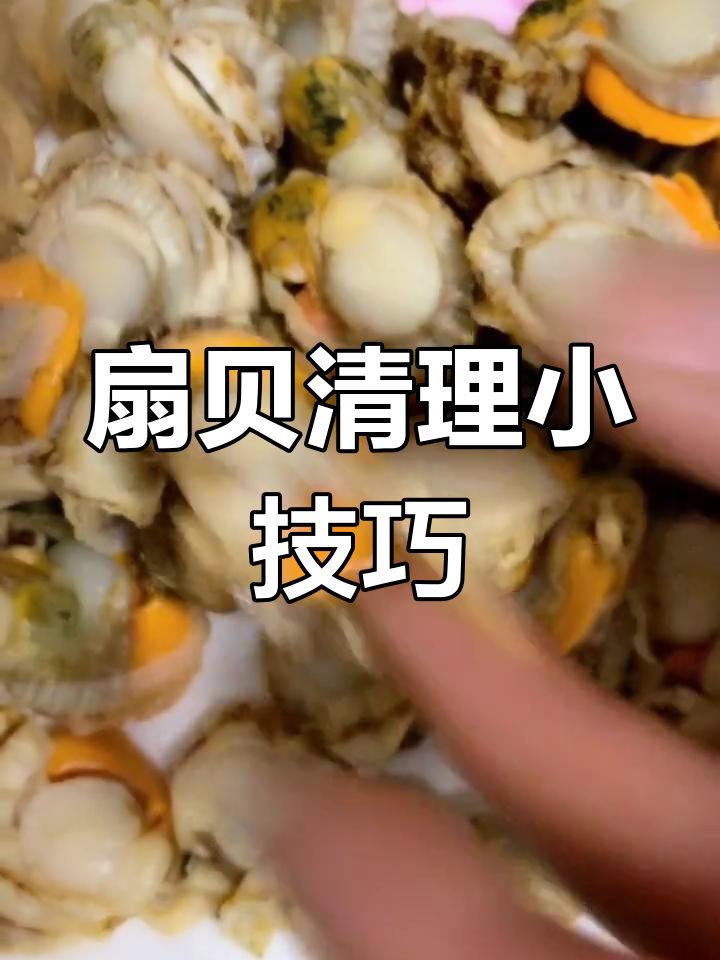 扇贝炒前简单处理,去黑黄沙线更鲜美