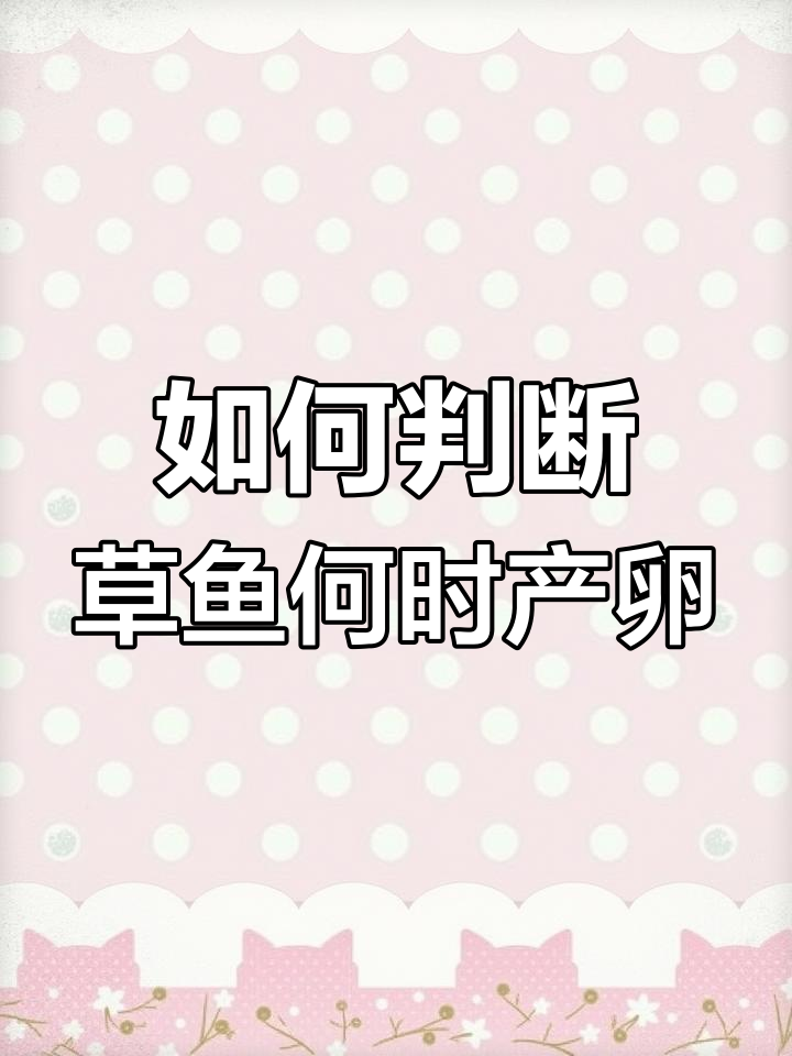 草鱼产卵前的征兆,如何判断雌雄鱼的交配时机