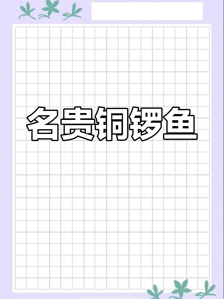 铜锣鱼虽未入三花,却稳居五罗之列,堪称名贵美味!