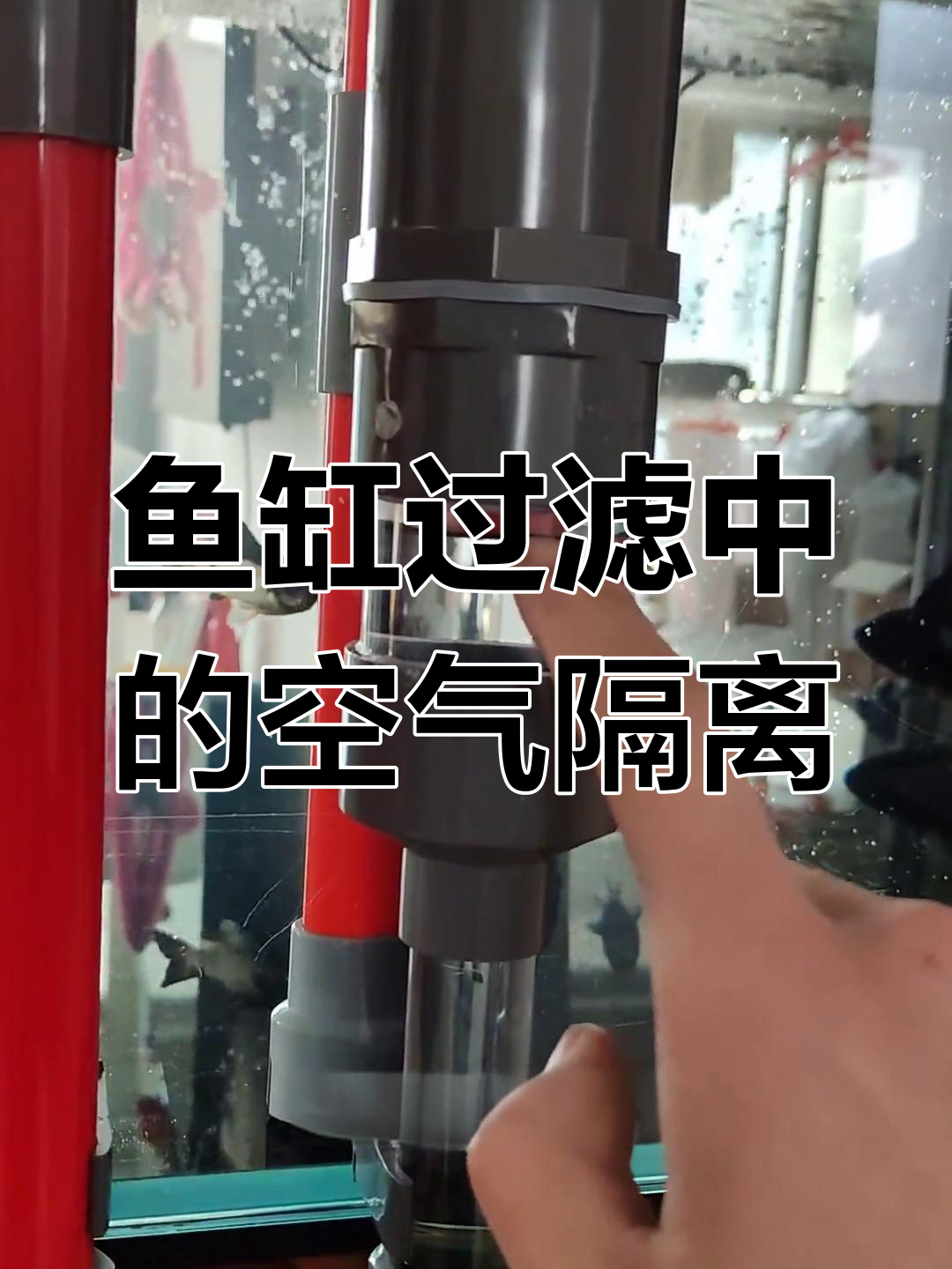 鱼马桶空气隔离原理揭秘,如何避免水倒流