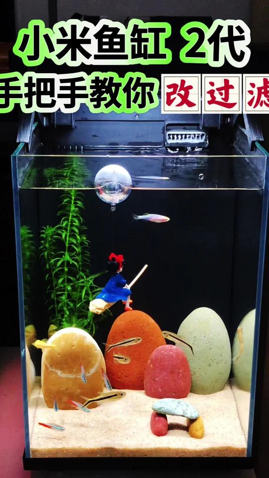 小米鱼缸2代，改过滤半年了，水清鱼靓打理