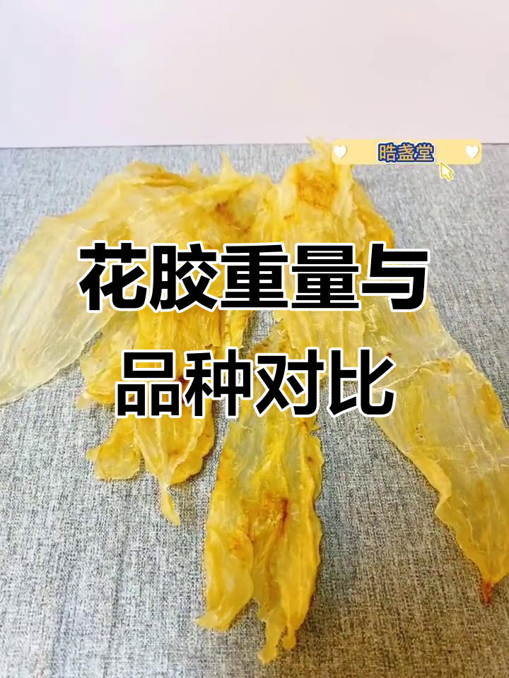 半斤花胶到底有多少?各种鱼胶对比解析