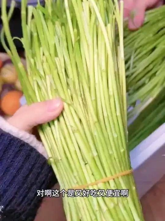 嫩芦蒿杆子藜蒿