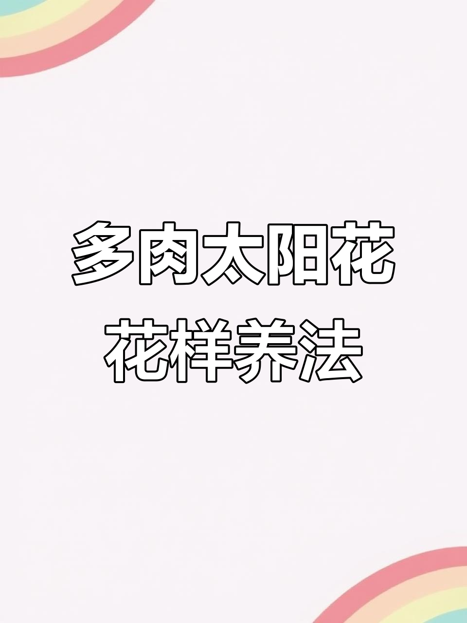 太阳花养护全攻略：轻松打造美丽多肉造型