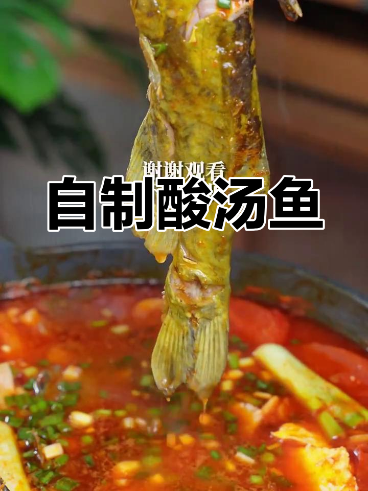 酸辣开胃的酸汤鱼,家常做法大揭秘