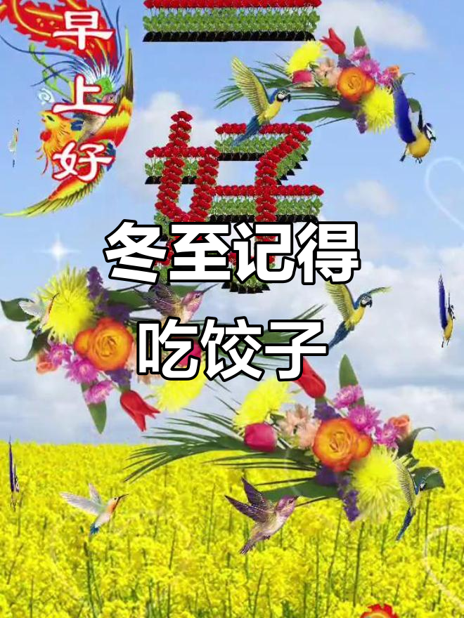 冬至到,吃饺子好运连连,阳光伴你每一天