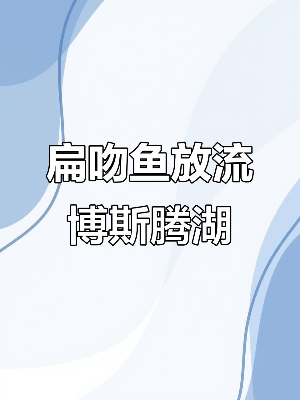 五万尾扁吻鱼放流博斯腾湖,助力水域生态恢复