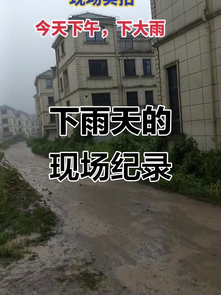 雨天实拍:记录生活中的真实瞬间