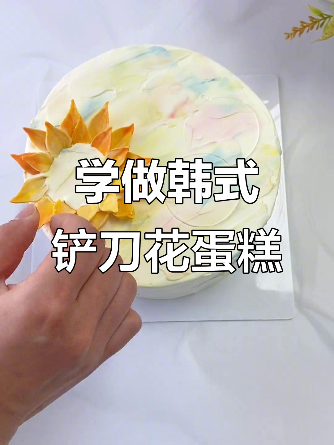 韩式裱花蛋糕制作技巧，零基础也能学会