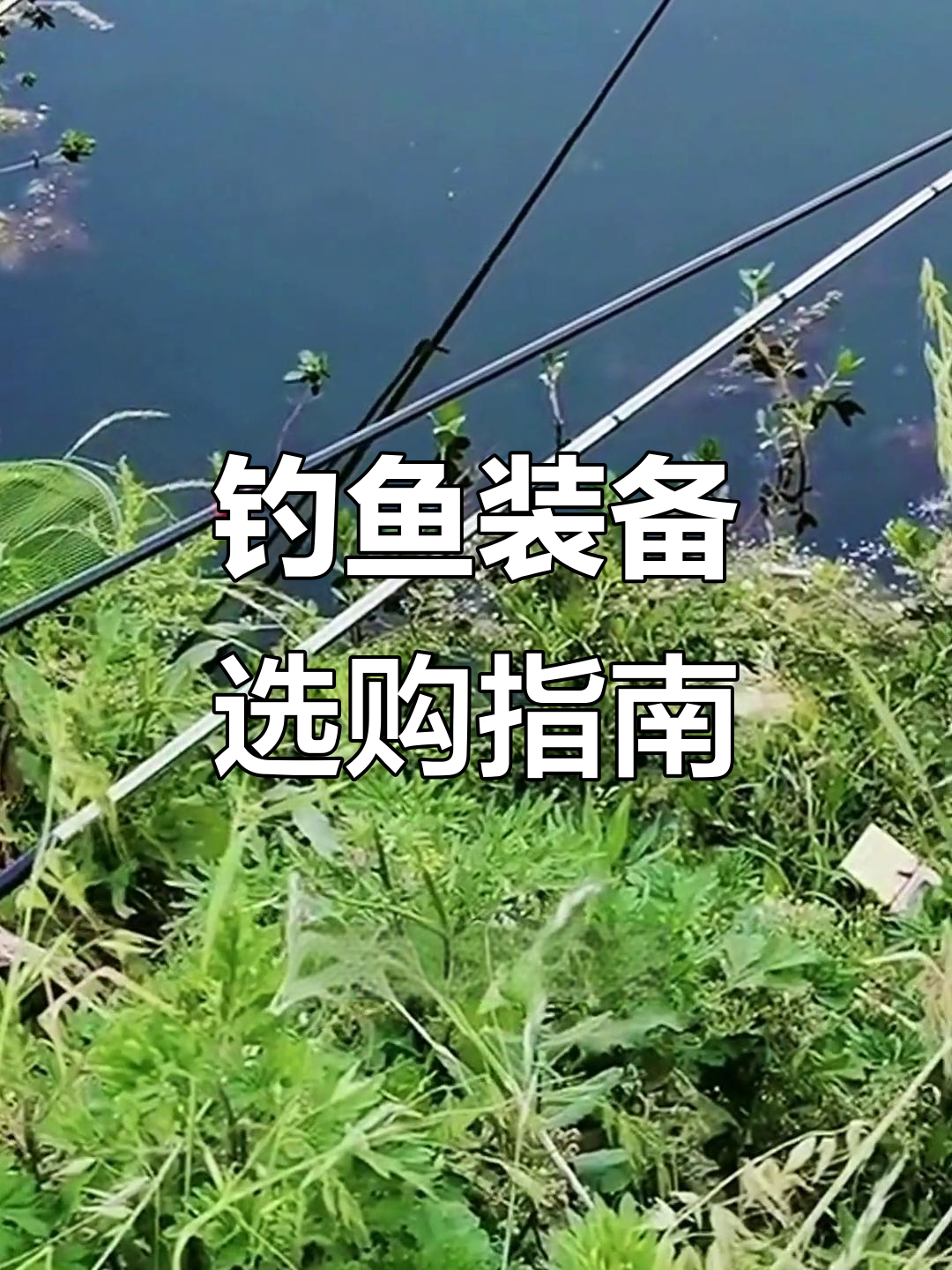 钓鱼技巧大揭秘:如何选择鱼竿、钓线与浮漂,搭配更合理