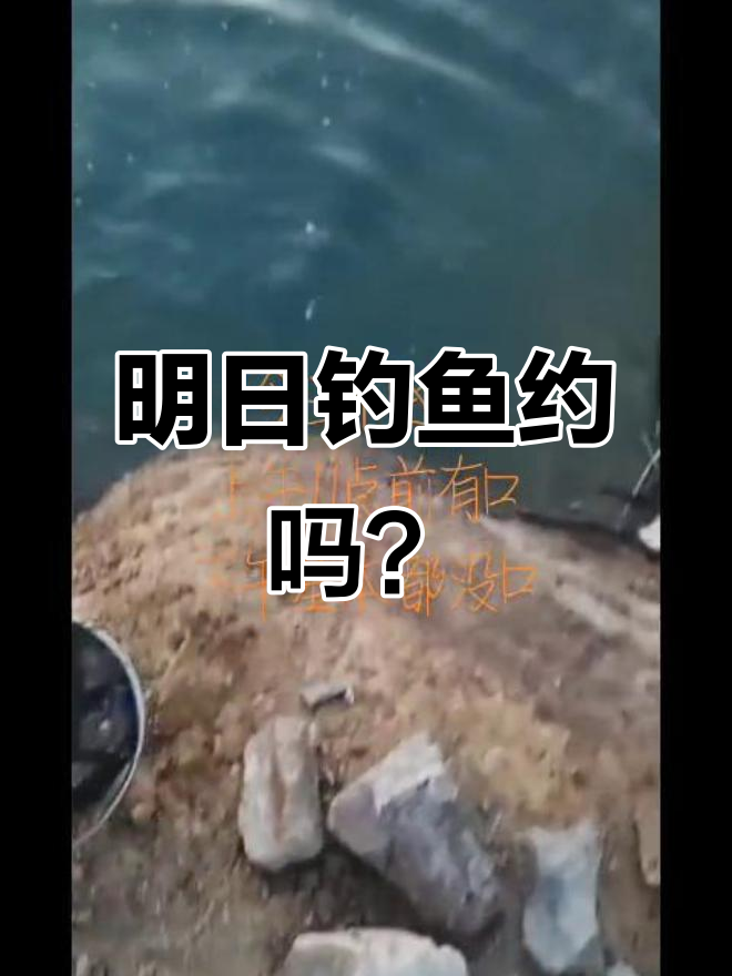 明天钓红眼鱼,风不大但有口!