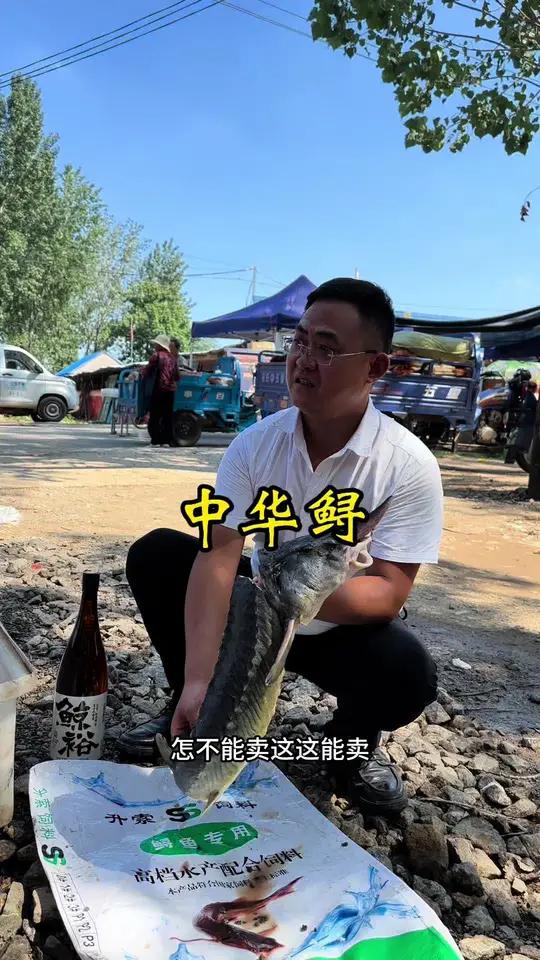 网红小胖清炖鲟鱼，一看就好吃
